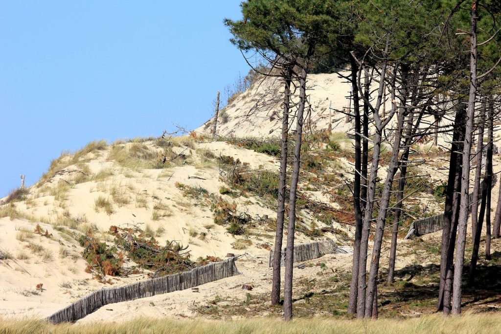 dunes en vendée