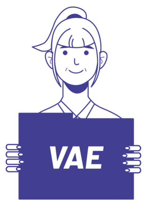 VAE Transitions Pro PDL